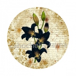 fleur exotique