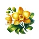 fleur exotique