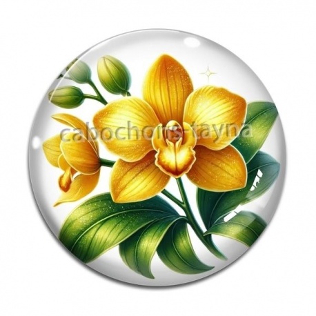 Cabochon Verre - fleur exotique