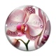 Cabochon Verre - orchidée