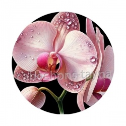 orchidée