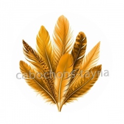 plume