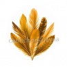 plume