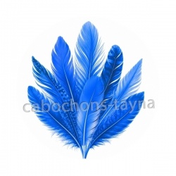 plume