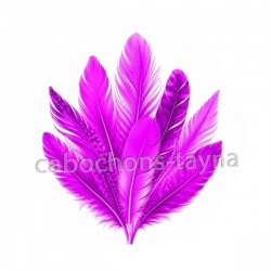 plume