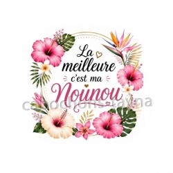 la meilleure c'est ma nounou