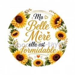ma belle mère elle est formidable