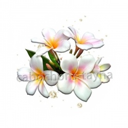 fleur exotique