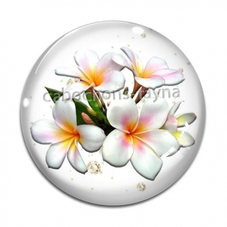 Cabochon Verre - fleur exotique