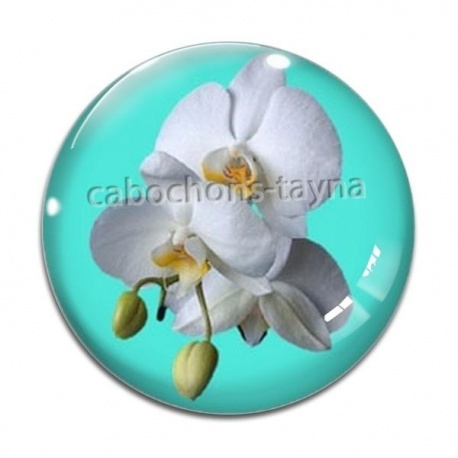 Cabochon Verre - fleur exotique