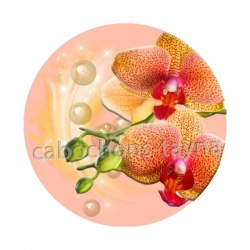 fleur exotique