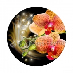 fleur exotique