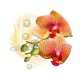 fleur exotique