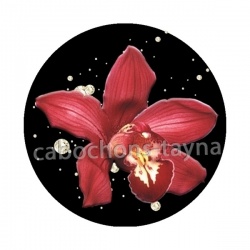 fleur exotique
