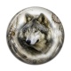 Cabochon Résine - loup