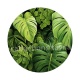 feuille exotique 