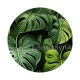 feuille