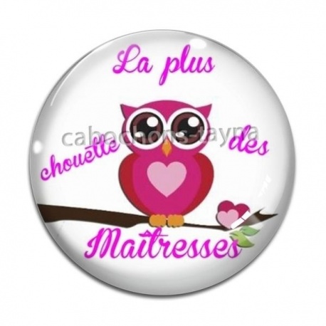 Cabochon Verre - chouette maîtresse