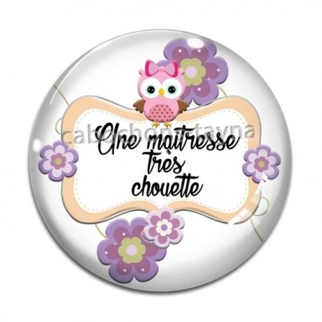 Cabochon Verre - chouette maîtresse