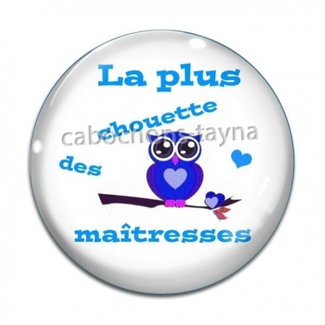 Cabochon Verre - chouette maîtresse