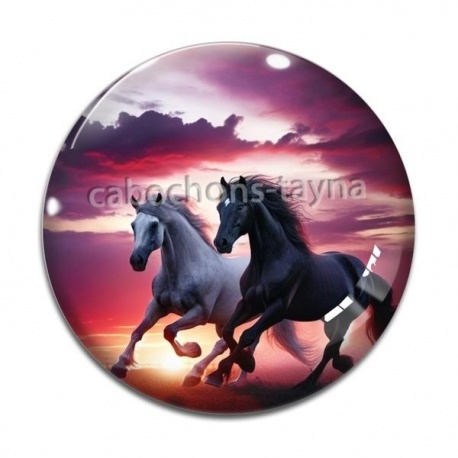Cabochon Verre - cheval