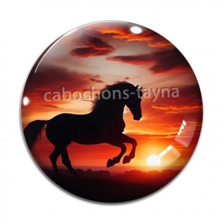 Cabochon Verre - cheval