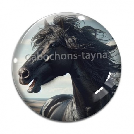 Cabochon Verre - cheval