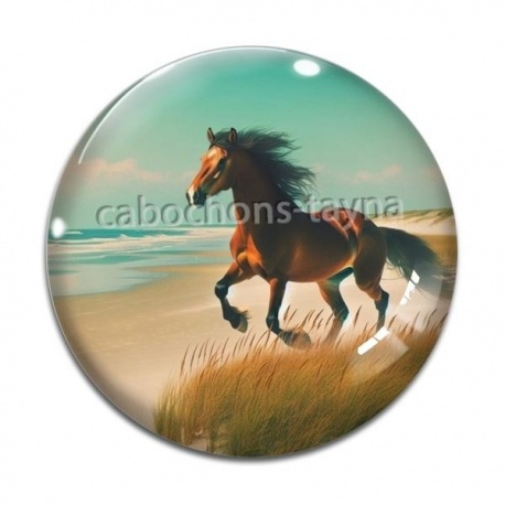 Cabochon Verre - cheval