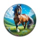 Cabochon Résine - cheval