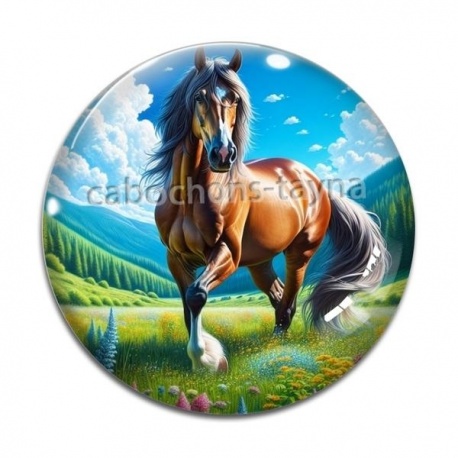 Cabochon Verre - cheval