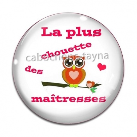 Cabochon Verre - chouette maîtresse