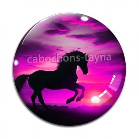 Cabochon Verre - cheval