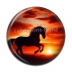 Cabochon Résine - cheval