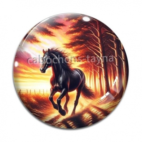 Cabochon Verre - cheval
