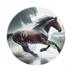 cheval