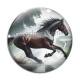 Cabochon Verre - cheval