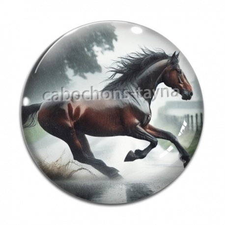 Cabochon Verre - cheval