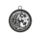 Pendentif Cabochon Argent - cheval