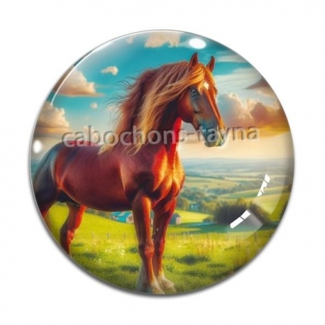 Cabochon Verre - cheval