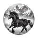 Cabochon Verre - cheval