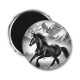 Magnet's - cheval