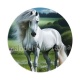 cheval