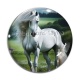 Cabochon Verre - cheval