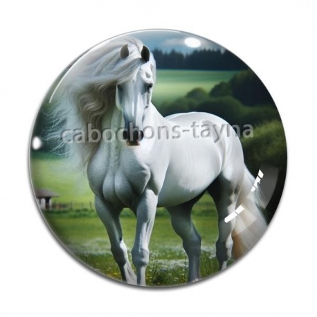 Cabochon Verre - cheval