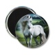 Magnet's - cheval