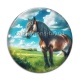 Cabochon Verre - cheval