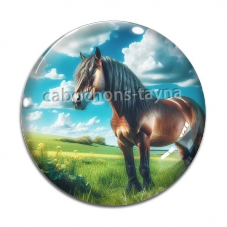 Cabochon Verre - cheval