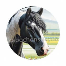 cheval
