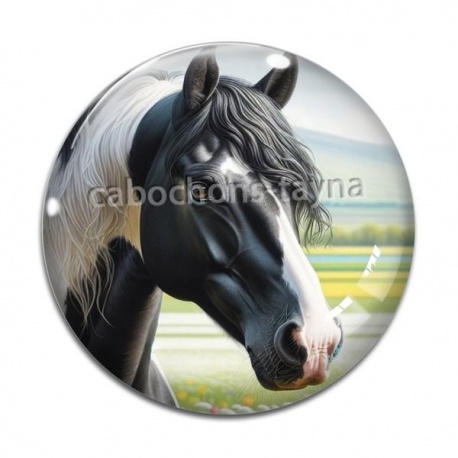 Cabochon Verre - cheval