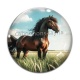 Cabochon Verre - cheval